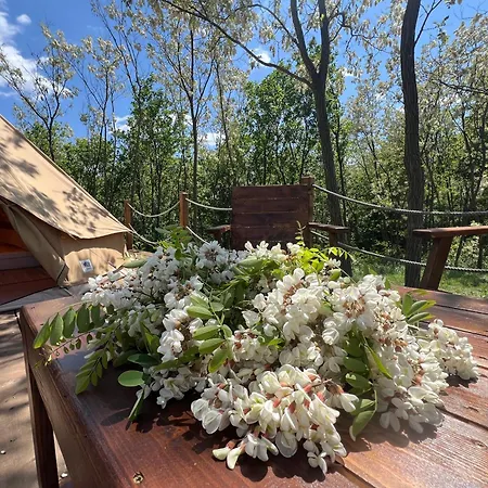 Deleni Retreat - Glamping * בוזאו